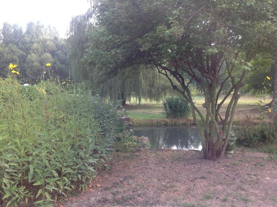Saint-Hilaire-les-Andresis Le Foulon - Moulin De Charme - 1 Heure 30 De Paris 빌라 외부 사진