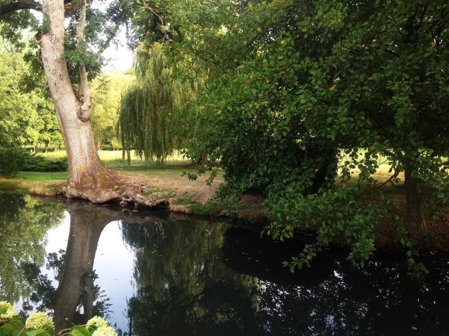 Saint-Hilaire-les-Andresis Le Foulon - Moulin De Charme - 1 Heure 30 De Paris 빌라 외부 사진