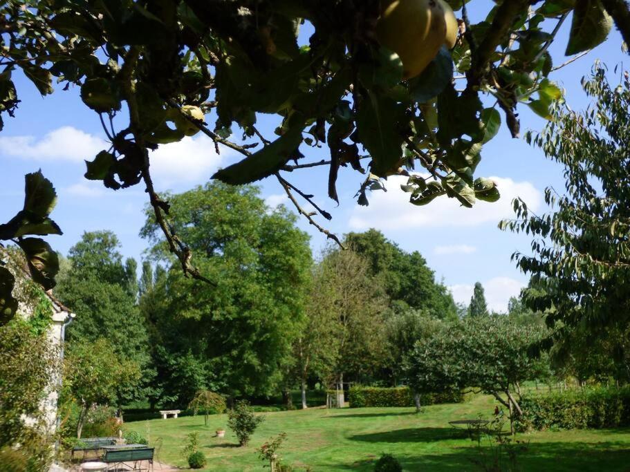 Saint-Hilaire-les-Andresis Le Foulon - Moulin De Charme - 1 Heure 30 De Paris 빌라 외부 사진